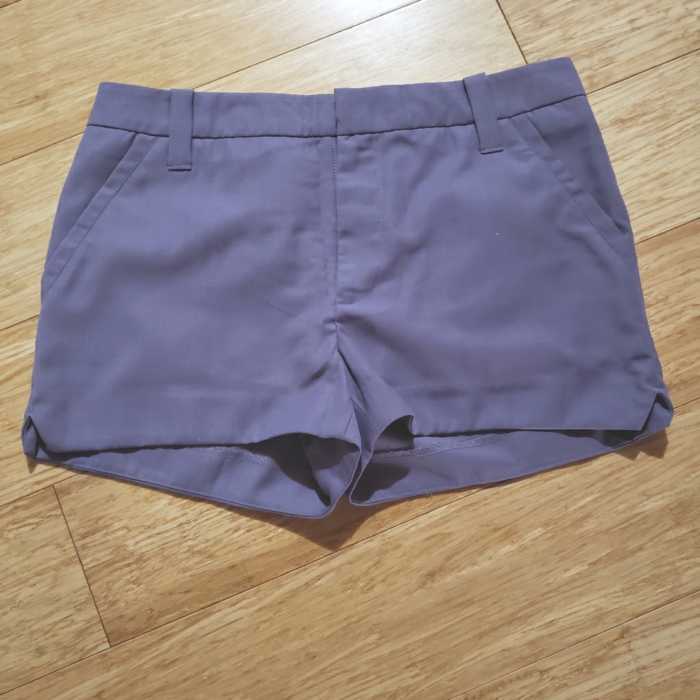 Urban Outfitter - Lux - purple gray shorts